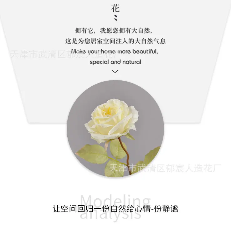 详情_06.jpg