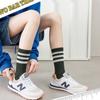 Calcetines para Mujer con Estampado de Tiburón, Calcetines de Algodón de Media Pantorrilla, Estilo Casual Versátil para Todas las Estaciones, Calcetines Largos Rayados de Algodón Puro para Pareja, Deportivos Absorbentes del Sudor