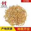 Selecione 1000 Gramas de Ginseng Taizi, uma Erva Medicinal Chinesa Premium, Fornecimento Atacado em Estoque, Ginseng Taizi de Guizhou