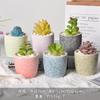 Vaso de flores de cerâmica desenho animado fofo macaroon planta carnuda vaso pequeno Amazon Home Gardening Cactus Pot terno