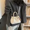 Bolsa para o Trabalho para Mulheres 2026 Nova Moda Primavera Exquisita Tendência Pequena Bolsa Tote de Trabalho Bolsa de Ombro Único Transversal Saco Balde