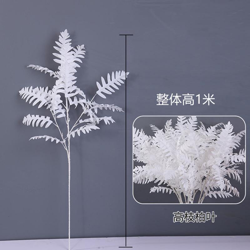 大柏叶白色