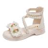 Sandalias para Niñas, Zapatos de Princesa de Moda Veraniega, Nuevo Estilo Verano 2026, Zapatos Abiertos para Niños Mayores, Niñas Pequeñas, Estudiantes, Zapatos Romanos