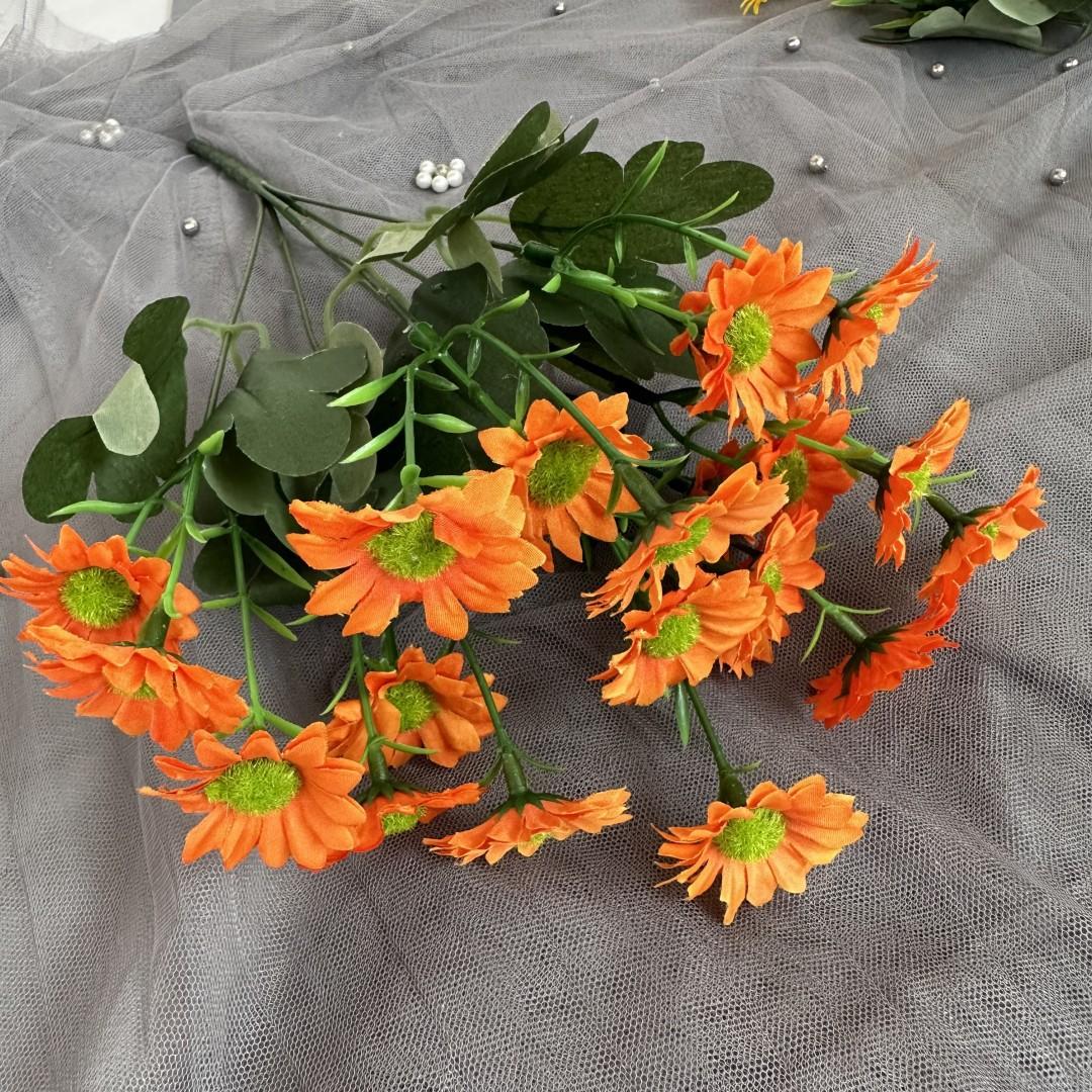 邹菊把桔色