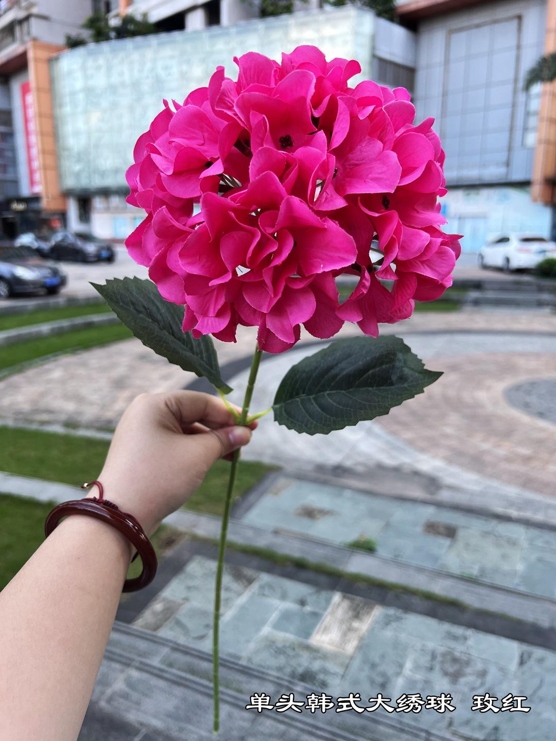 微信图片_20220710175434_副本