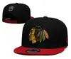 Gorra de Hockey NHL Blackhawk Oso Pardo Rangers 2024 para Hombres y Mujeres, Gorra Plana para Exteriores con Ala Grande Ajustable