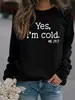 Sim, estou com frio Eu 24:Moletom Pulôver Gola Redonda Manga Longa com Letras 7 Letras Amazon Wish Transfronteiriço Feminino Estoque Pronto