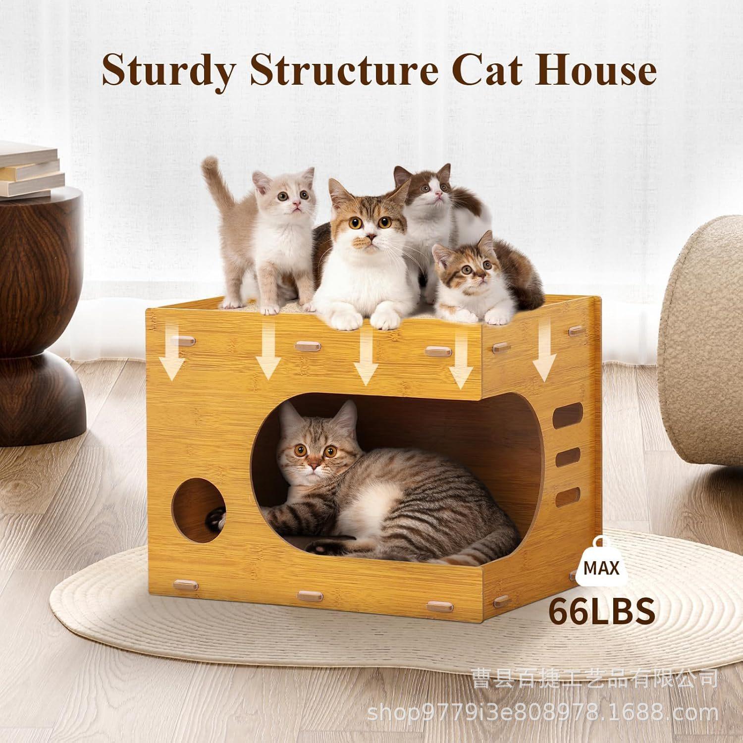 81Ywl+bPX+L._AC_SL1500_