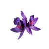 Pin Lateral de Flor para Mujer, Sentido de Alta Gama, Cabeza de Flor Simulada, Celebridad de Internet, Mismo Pasador, Flor de Cymbidium, Accesorios para el Cabello de Vacaciones en la Costa