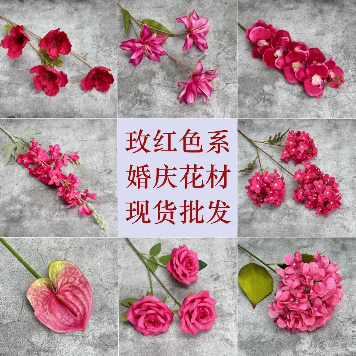 微信图片_20230414124208_副本11