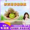 Selección Premium Fruta de Kiwi Cuixiang de Shaanxi, 15/24 piezas, pulpa verde, dulce y fragante, fruta fresca de temporada