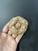 Novo broche de camélia de alta qualidade estilo Chanel, 8 cm de altura, tecido de nylon com flor grossa, flor superformada, pequeno aroma, joia corsage com broche
