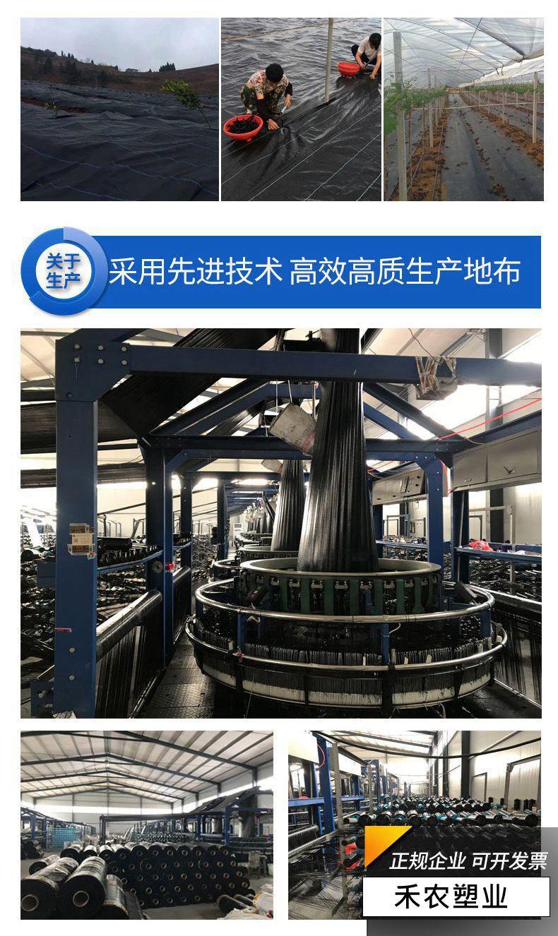 微信图片_20230412210440_副本