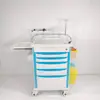 Carrinho de Tratamento com Balde Duplo de Aço Inoxidável 304, Carrinho de Instrumentos com Gaveta Dupla e Camada Dupla, Carrinho de Tratamento com Balde Duplo para Descarte, Carrinho de Infusão para Ambulatório