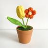 Flor de Lã Crochê Produto Acabado Girassol em Vaso Ornamento Flor Tecida Dia dos Professores Crochê Artesanal Presente de Dia dos Professores