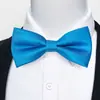 Estoque Pronto do Fabricante Gravata Borboleta Jacquard Formal Masculina para Negócios, Casamento, Festa, Gravata Borboleta Floral de Poliéster em Forma de Seta