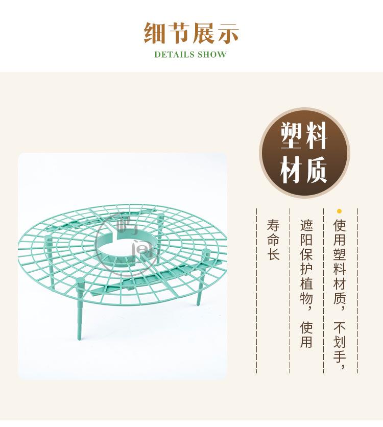 草莓架_03.jpg