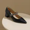 Sapatos Mary Jane Quadrados Retrô para Mulheres, Novo Estilo de Verão 2026, Boca Rasa, Tira Única, Sola Lisa, Salto Grosso, Bico Fino Sapatos Femininos