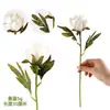 Item Popular Transfronteiriço: Peônia Artificial Única, Crisântemo Bola Original, Folhagem Artificial, Flores Artificiais de Outono em Estoque na Amazon