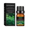 Óleo Essencial de Aromaterapia Desodorizante Transfronteiriço 10ml Máquina de Aromaterapia para Interior Fragrância Duradoura Óleo Essencial de Lavanda para Massagem