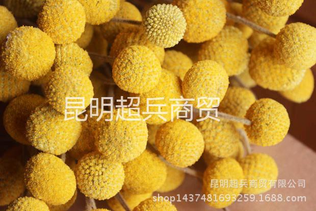 IMG_2929_副本.jpg