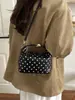 Bolso de mano de lunares estilo ins chic para comercio exterior transfronterizo, moderno y único, adecuado para salidas y desplazamientos, bolso de hombro o bandolera para mujer