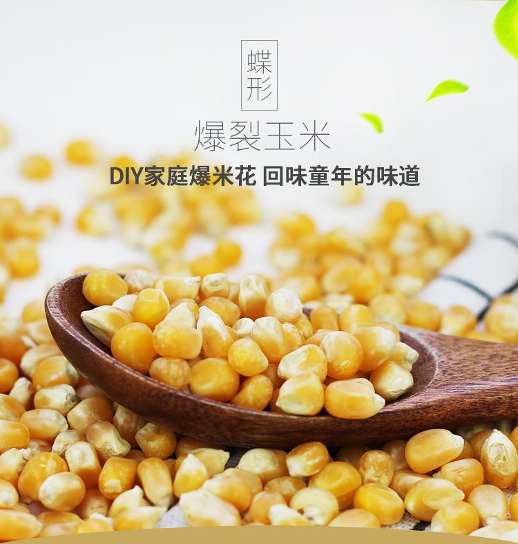 玉米_01