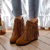 Novas Botas de Veludo Fosco com Franjas Botas Curtas Estilo Martin Botas Casuais com Salto Alto Amazon AliExpress Botas de Comércio Exterior Tamanho Grande