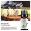 Exportación Transfronteriza Aceite Esencial Individual Fragancia Aromaterapia Masaje Aceite Esencial Sándalo Difusor Mayoreo Muestra de 10 ml
