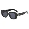 Gafas de sol polarizadas para mujer Verano nuevas de celebridad de internet retro de alta calidad moda europea y americana personalizadas cuadradas
