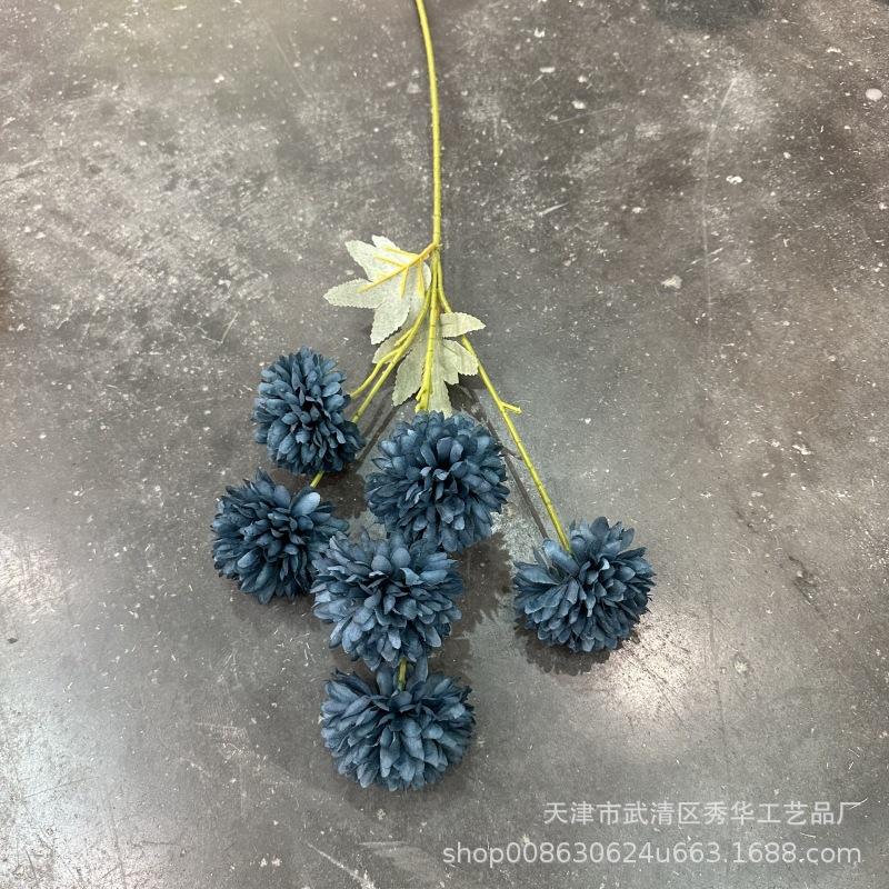 6头球菊深雾霾兰