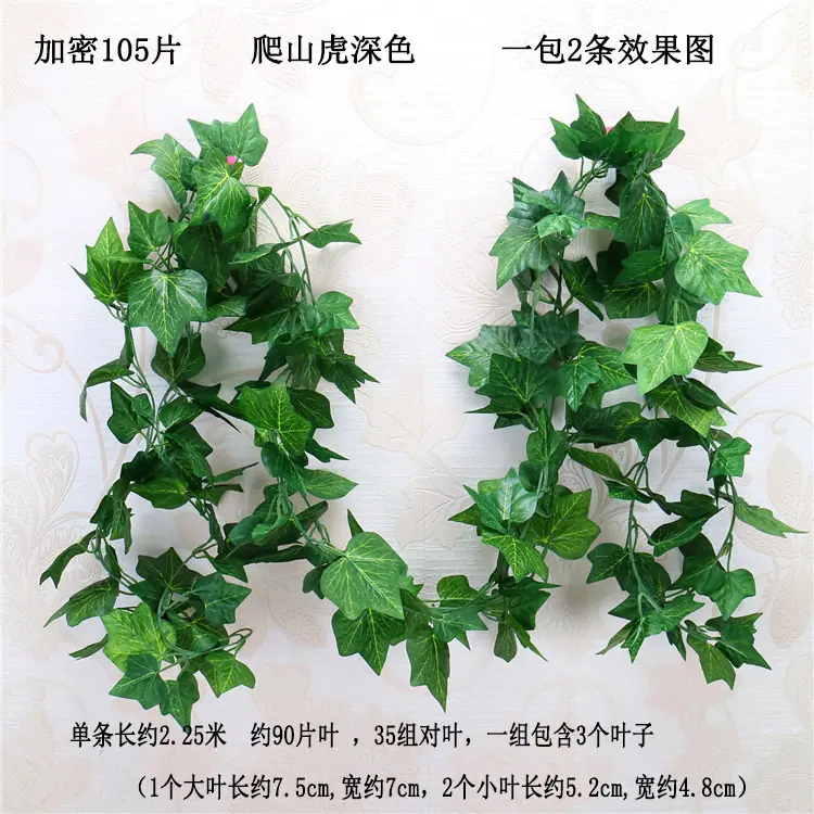 加密105片  爬山虎 深色  宋体.jpg
