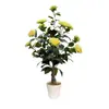 Planta em Vaso Árvore de Camélia Simulada, Árvore de Camélia Falsa, Decoração de Mesa para Sala de Estar, Planta Artificial Verde de Camélia em Vaso, Flores Secas Disponíveis para Atacado