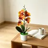 Maceta de Onda 5 Orquídeas Phalaenopsis Plantas Artificiales en Maceta Arreglo de Piso para Camino de Boda Flor Falsa Bonsái Decoración para Fotografía de Vestidos de Novia Maceta
