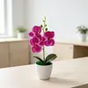 Pote Redondo Pequeno Transfronteiriço Três Orquídeas Phalaenopsis Planta em Vaso Simulação Decoração de Entrada de Casa Gabinete de TV Flor Artificial de Filme Planta em Vaso