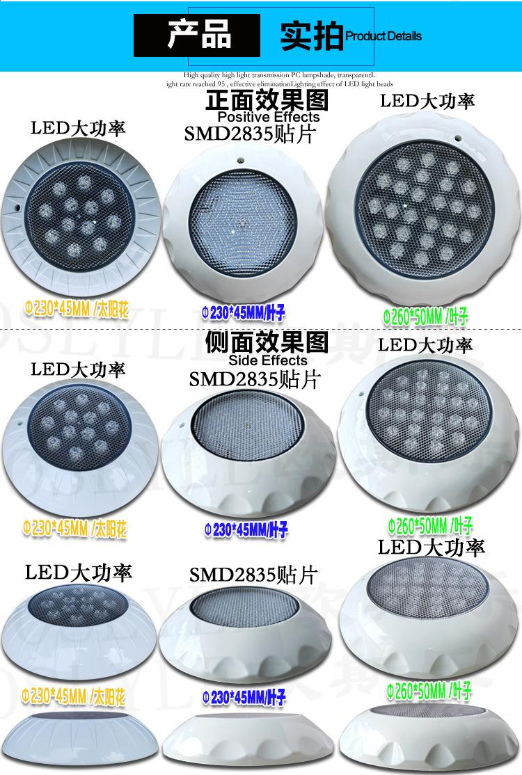 23年平面透明盖-230太阳花-230叶子-260叶子-详情