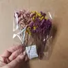 Bolsas de Porciones Pequeñas de Flores Secas, Flores Conservadas, Abanicos Hechos a Mano para DIY, Arreglos Florales Flotantes, Actividades de Team Building, Pegamento, Pinzas