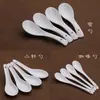 Cuchara Pequeña de Cerámica Blanca Pura para el Hogar, Cuchara para Arroz, Cuchara para Sopa, Cuchara para Comer, Cucharón, Cuchara para Condimentos, Cuchara de Vajilla para el Hogar