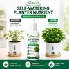 KineShineX Vaso Autoirrigável Solução Nutritiva 30ML Suplemento Nutricional para Plantas de Interior Plantas Hidropônicas