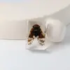 Especímenes Delgados de Insectos Reales, Adornos de Escritorio de Animales Reales, Escorpiones, Tortugas Doradas, Cigarras, Materiales Didácticos para Niños, Manualidades de Resina
