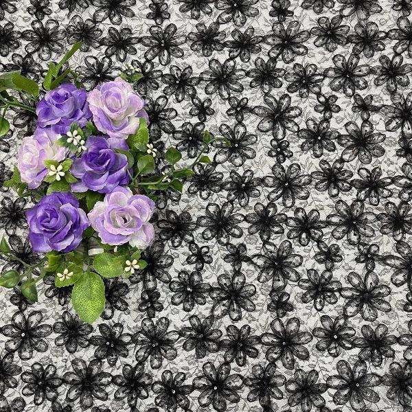 2024-06-03 14:15:35.jpg