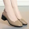 Sapatos de Couro Brilhante Estilo Francês para Noite Sapatos Delicados com Salto Médio e Saia Flats Cor Nude 2024 Novo Primavera e Verão Bico Quadrado Sapatos Pequenos de Couro