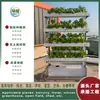 NFT Cultivo sin Suelo Verduras Fresas Siembra Estantería Vertical de Doble Cara Equipo Hidropónico Hidroponía de Balcón Máquina Multicapa para Cultivo de Verduras
