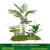 Série Paisagem de Expressão Idiomática de Quatro CaracteresCombinação de Plantas Verdes Artificiais para Paisagismo Decoração de Vitrine Interna