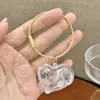 Colgante Bola de Pelo de Gato Almacenamiento de Pelo de Gato Colgante Pequeño Caja Transparente para Guardar Pelo Botella para Recoger Pelo de Mascota Llavero