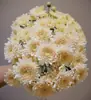 Atacado de Flores Margaridas Multicabeça, Entrega Direta de Yunnan, Cestas de Flores, Buquês, Arranjos para Vaso em Casa, Exposição em Banca, Compra em Grupo, Dropshipping de Uma Peça
