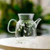 Tetera de vidrio de borosilicato alto con infusor de té verde y filtro, juego de té kung fu, tetera floral para infusión en frío, tetera individual