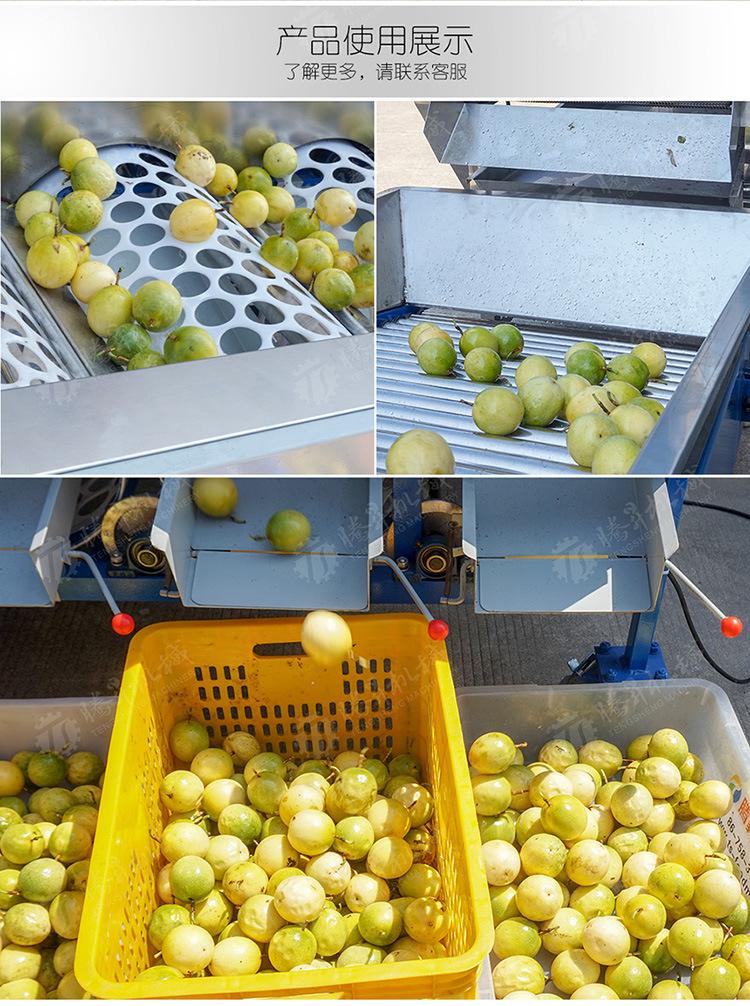 TS-FS340-果蔬分选机-详情页(750px)_02.j