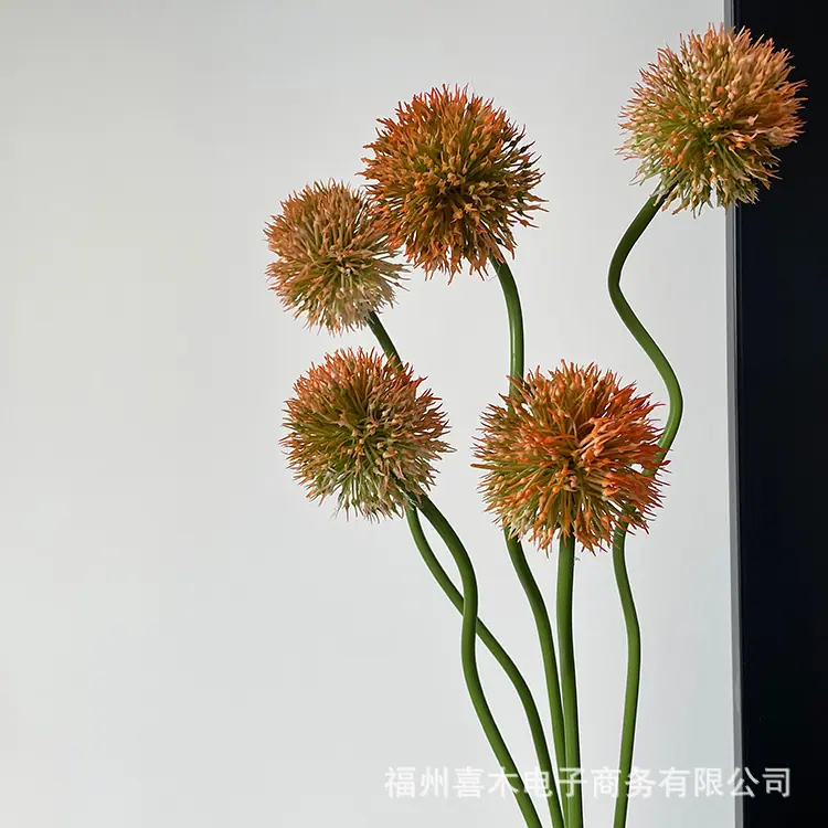 photo-output_5.JPG