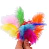 Pelota Bobo Pelota Transparente Decoración de Plumas Rellenas Fiesta de Cumpleaños Boda Globo Rojo de Internet Pluma Colorida Rellena